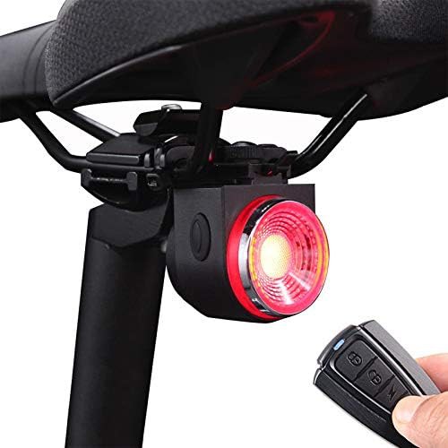 Anti-theft alarm and tail light combo