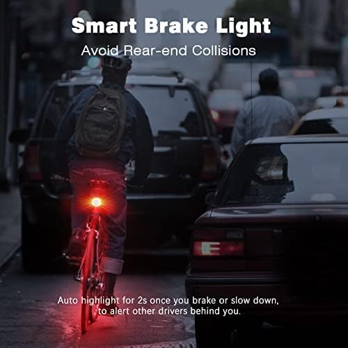 Antitheft brake sensing tail light system — photo 4