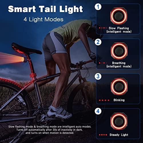 Antitheft brake sensing tail light system — photo 5