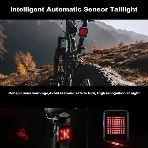 Intelligent tail light with automatic brake sensor — photo 3