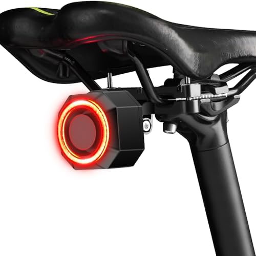 USB-C brake sensing light with security alarm